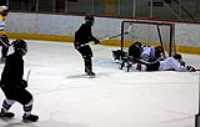 dgt_hockey (3)
